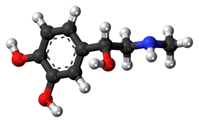 adrenaline, epinephrine, hormone, molecule, model, structure, chemistry, science, research, compound, hormone, hormone, hormone, hormone, hormone