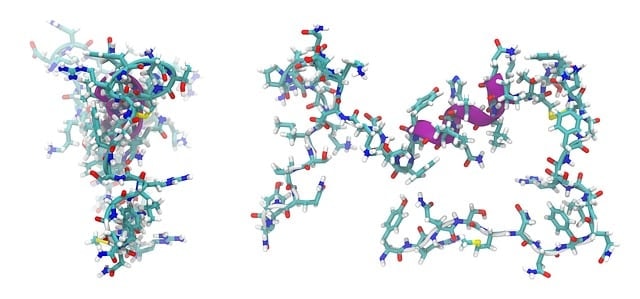 adrenomedullin, peptide, molecule, model, structure, chemistry, science, research, compound, peptide, peptide, peptide, peptide, peptide, molecule, molecule