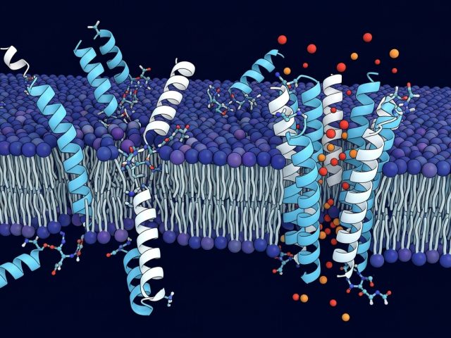 GLOW Peptide Blend: Multi-Peptide Combinations in Tissue Regeneration & Dermal Research Models