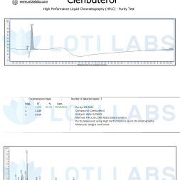 Loti Clenbuterol 6 25 25