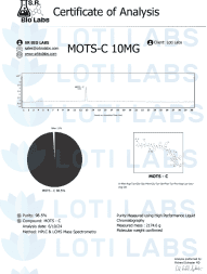 wp image lotilabs 172