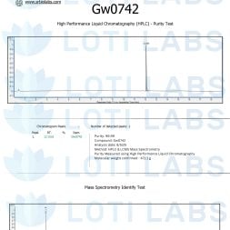 Certificate of Analysis for GW0742 Capsules (10mg/capsule, 30 capsules) shows HPLC purity of 99.04% and mass spectrometry ID, issued by SR Bio Labs for Loti Labs.