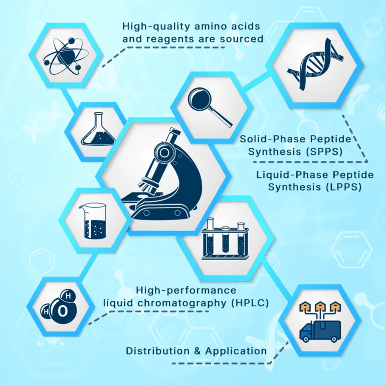 Infographic illustrating the peptide synthesis process: sourcing reagents, synthesis methods (SPPS, LPPS), HPLC analysis, and final distribution with application. Discover how Loti Labs ensures quality for those looking to buy peptides.